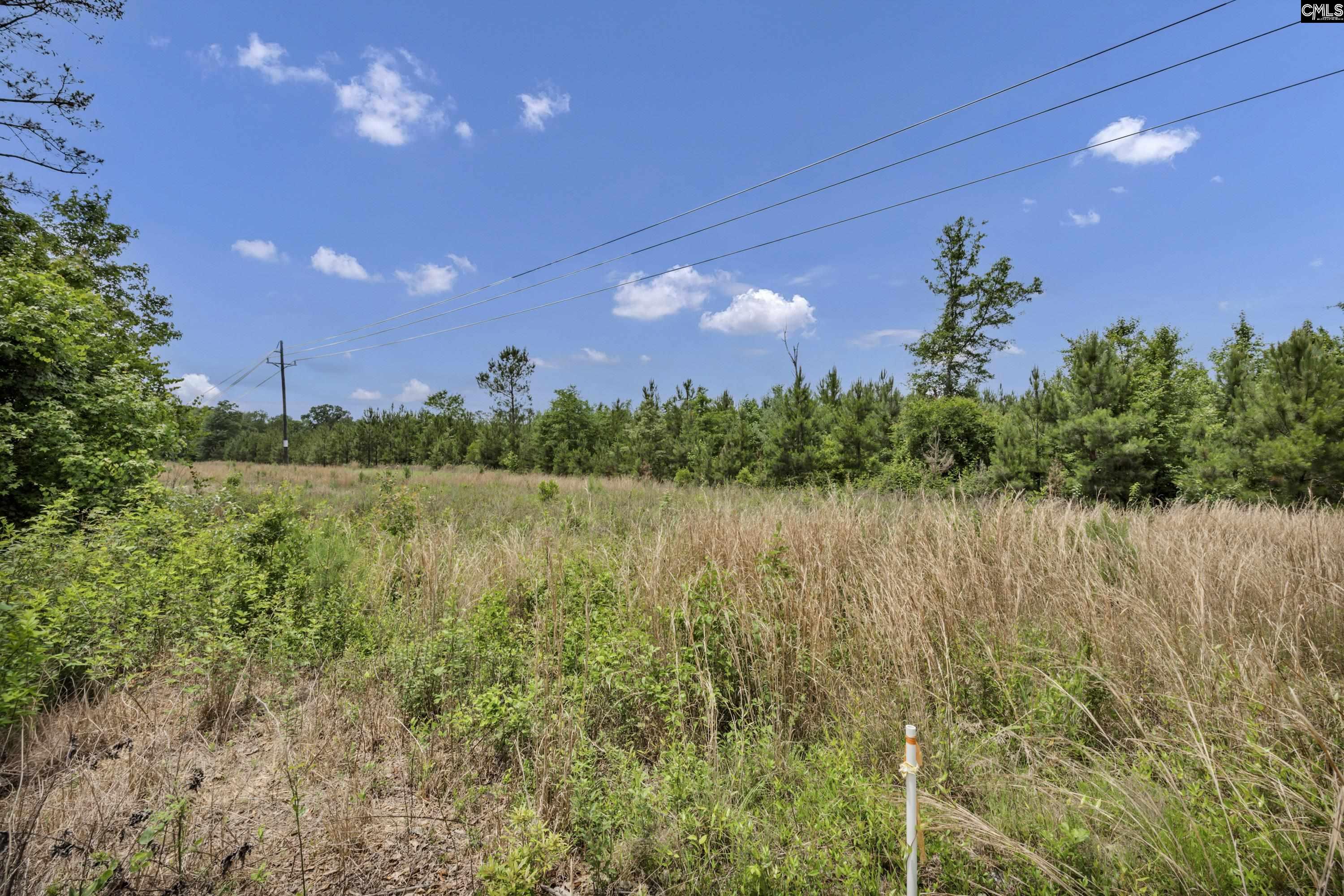 Na Bull Swamp Road North, SC 29112 - Photo 3 of 28