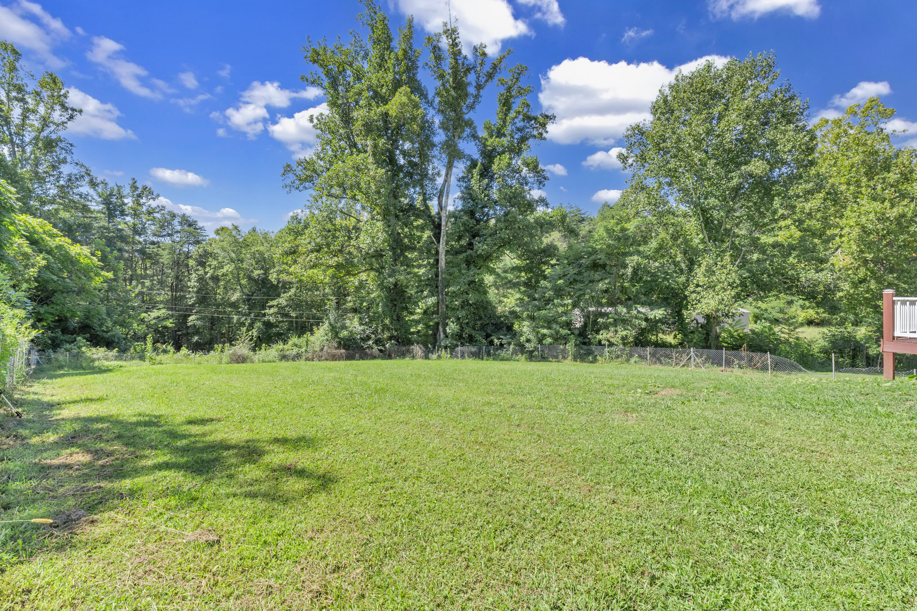 319 Cooks Knob Road Ferrum, VA 24088 - Photo 32 of 80 a view of a big yard with large trees