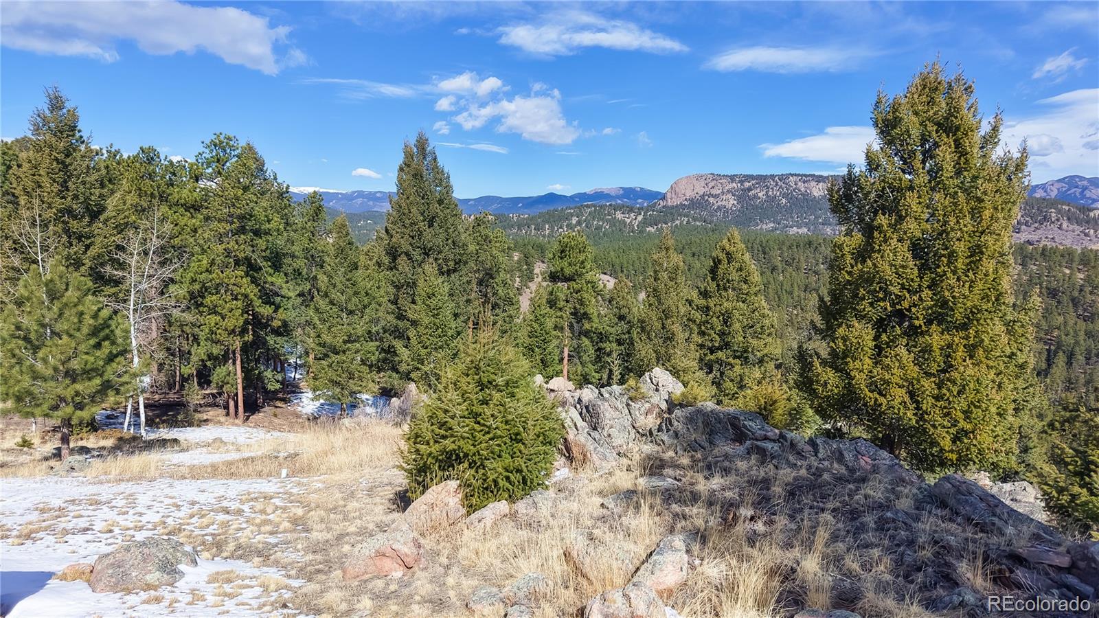 195 Doe Circle Bailey, CO 80421 - Photo 26 of 30