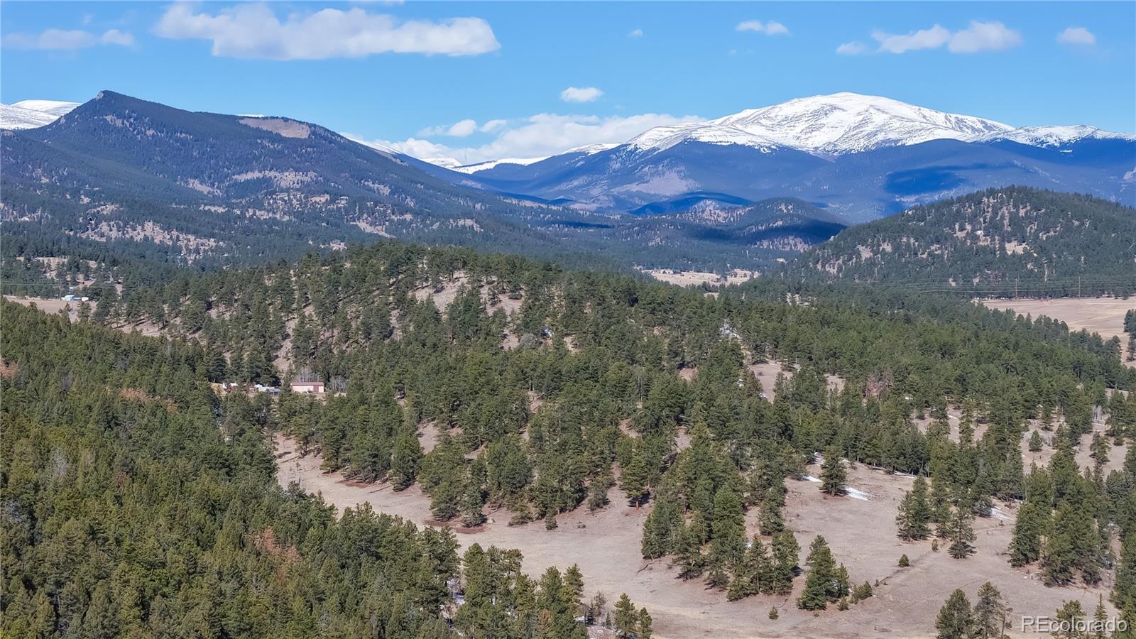 195 Doe Circle Bailey, CO 80421 - Photo 9 of 30