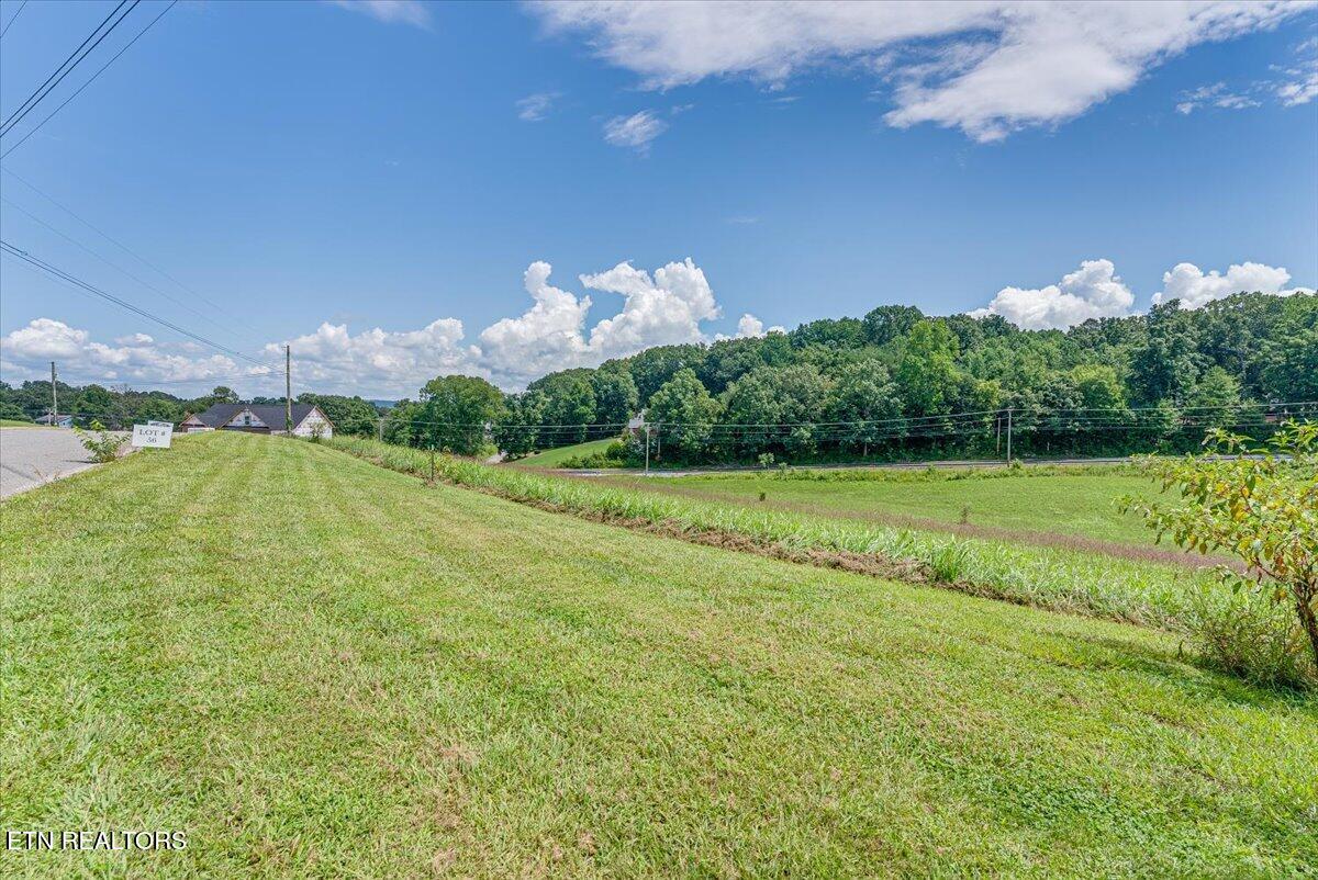 211 Washita Lane Rutledge, TN 37861 - Photo 11 of 13 33-Lot 56 Ground A1