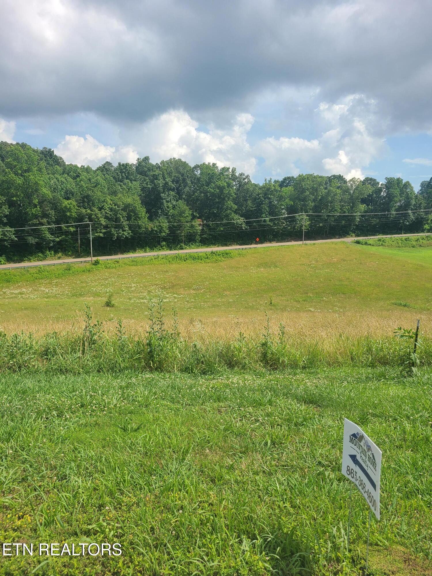 211 Washita Lane Rutledge, TN 37861 - Photo 4 of 13 20250616_160419