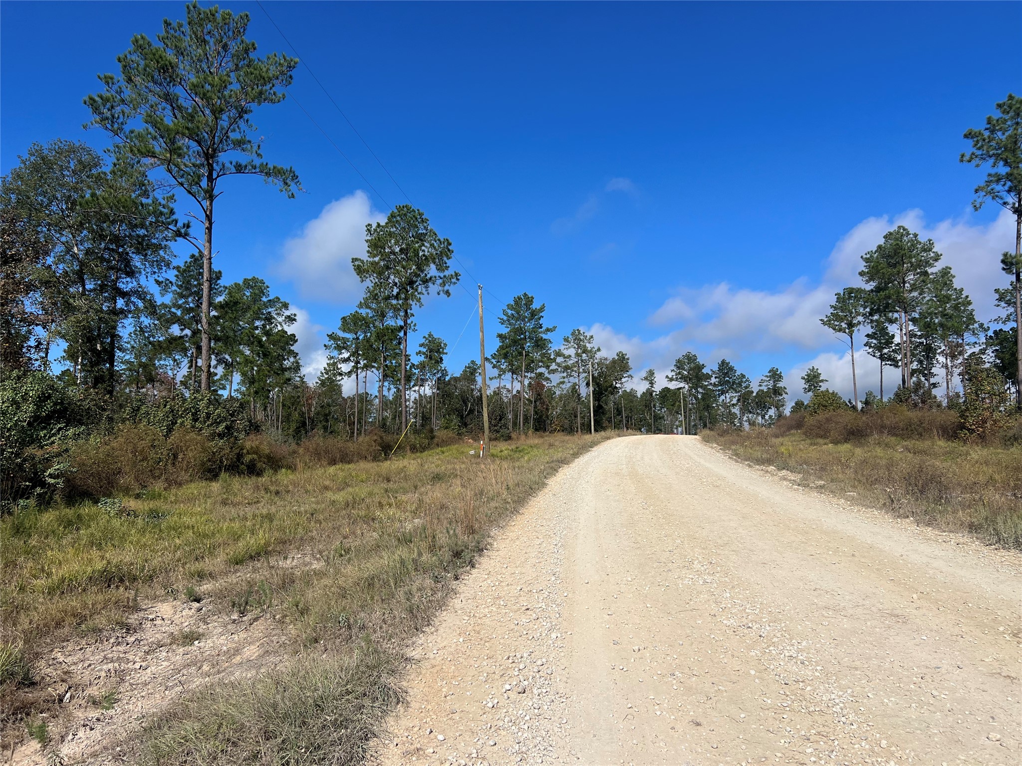 7 Reveille Road Livingston, TX 77351 - Photo 9 of 12