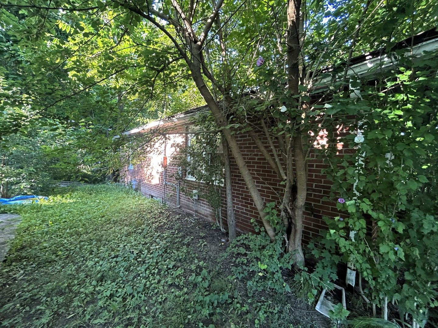 930 Vandalia Road Louisville, IL 62858 - Photo 10 of 13