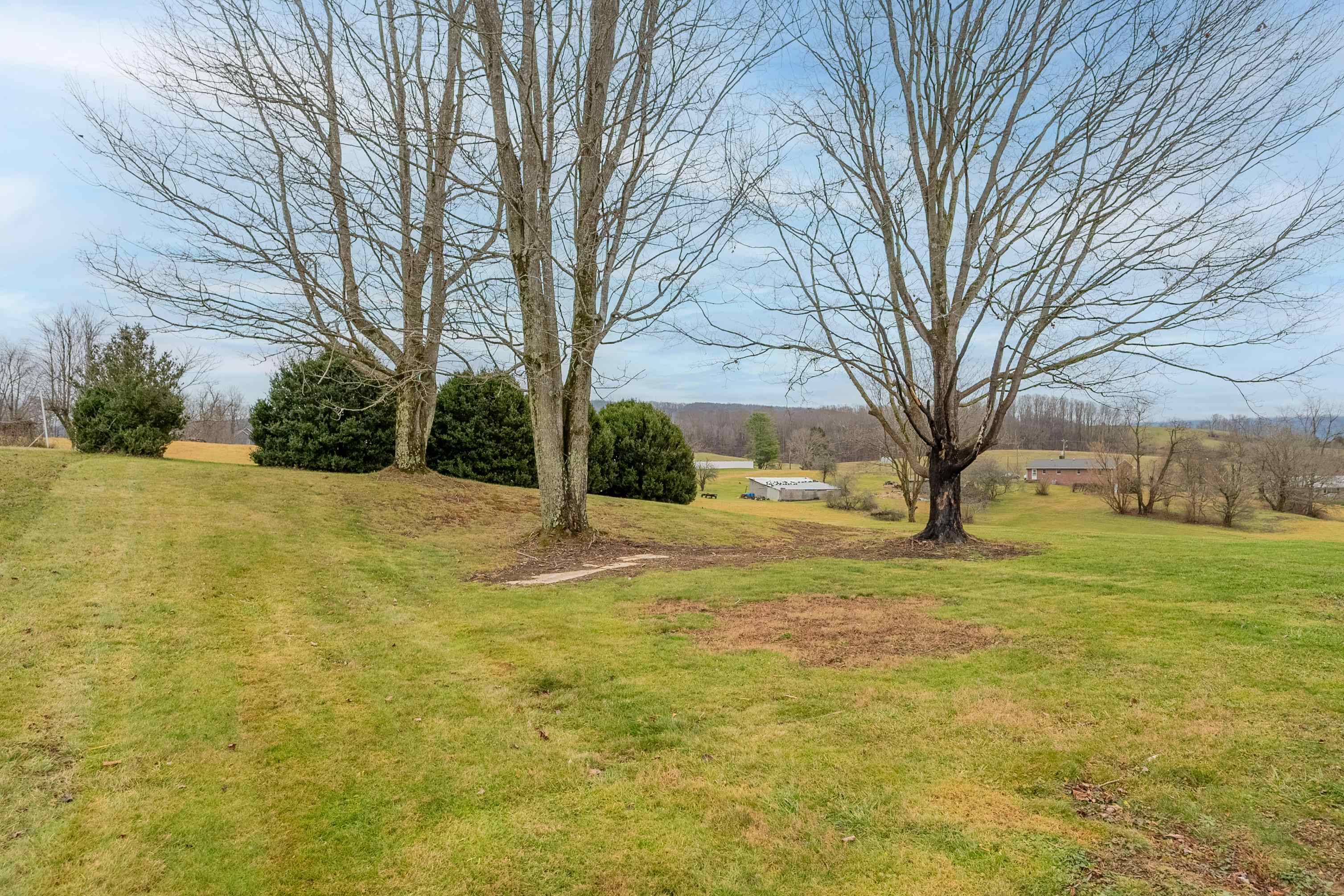 677 Adwolfe Road Marion, VA 24354 - Photo 75 of 85 Gallery Image 75