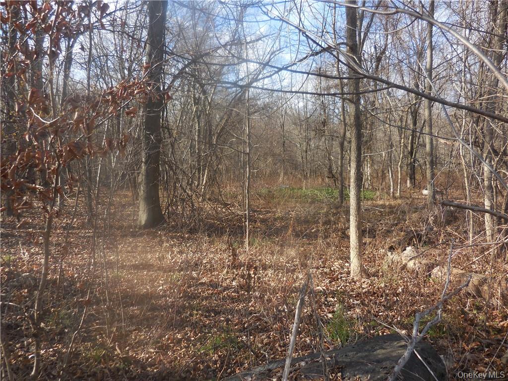 Lakeside Road Newburgh, NY 12550 - Photo 13 of 34 a backyard of a house