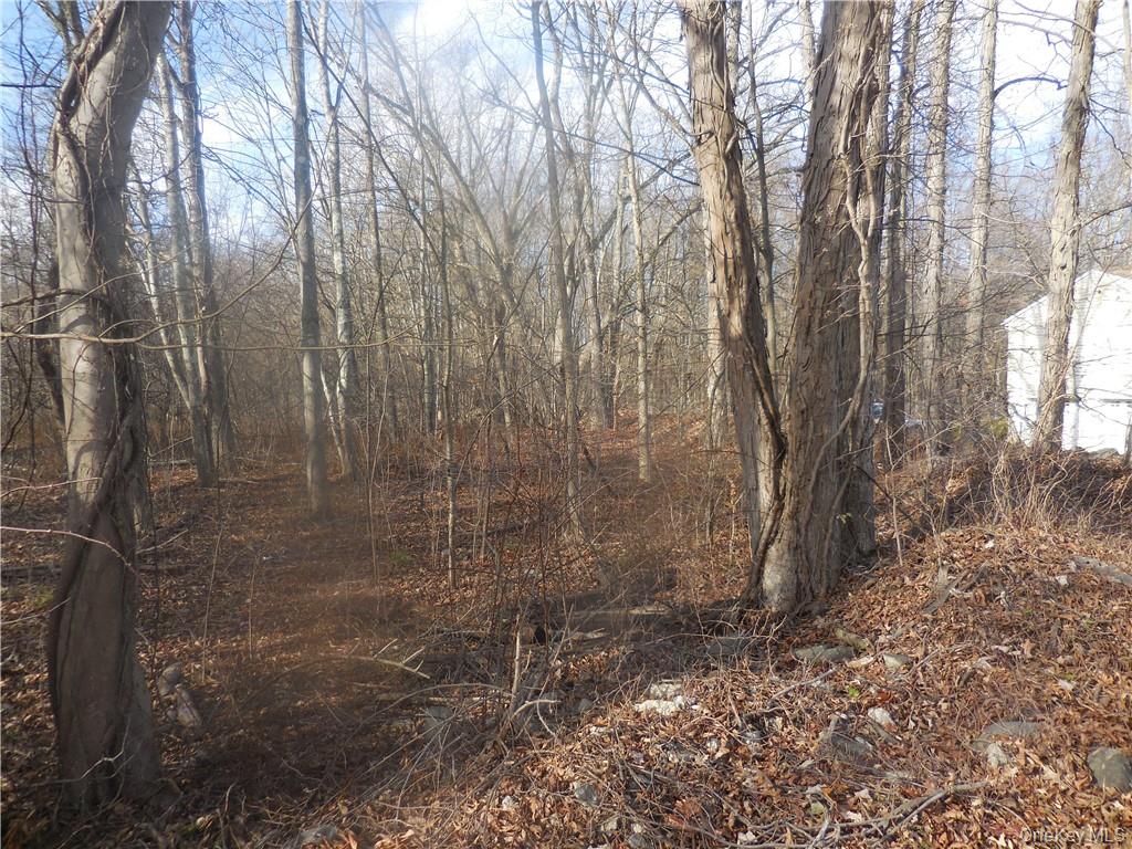 Lakeside Road Newburgh, NY 12550 - Photo 15 of 34 a view of a yard with large trees