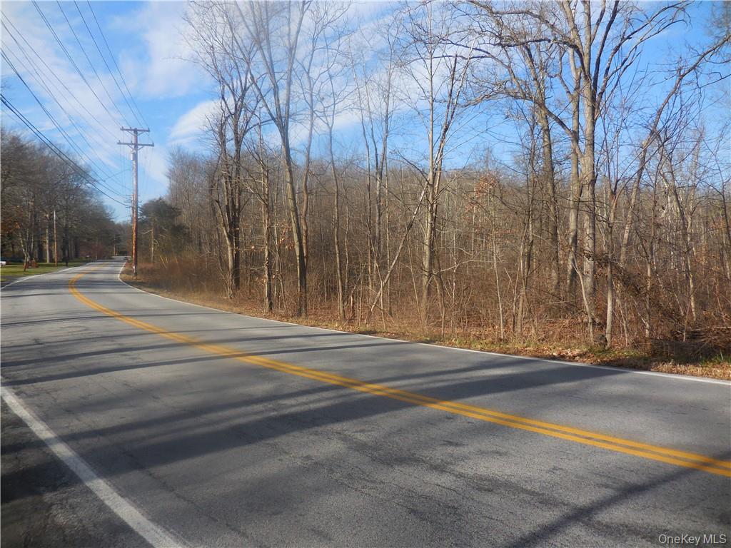 Lakeside Road Newburgh, NY 12550 - Photo 16 of 34 a view of street along with trees