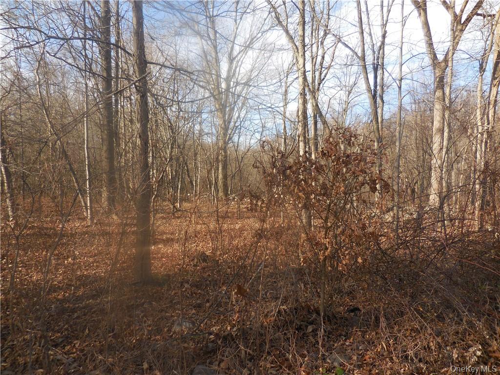 Lakeside Road Newburgh, NY 12550 - Photo 19 of 34 a view of a yard with trees