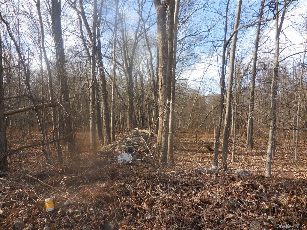 Lakeside Road Newburgh, NY 12550 - Photo 21 of 34 a backyard of a house with lots of green space