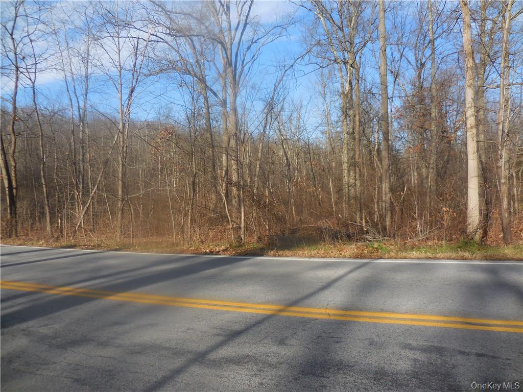 Lakeside Road Newburgh, NY 12550 - Photo 29 of 34 a view of a yard