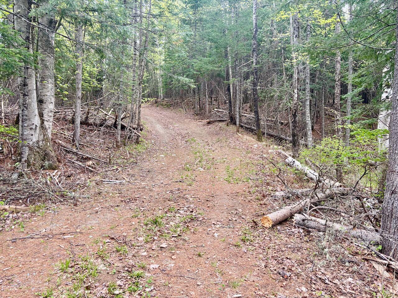 90 Eustis Village Road Eustis, ME 04936 - Photo 4 of 6 IMG_0301