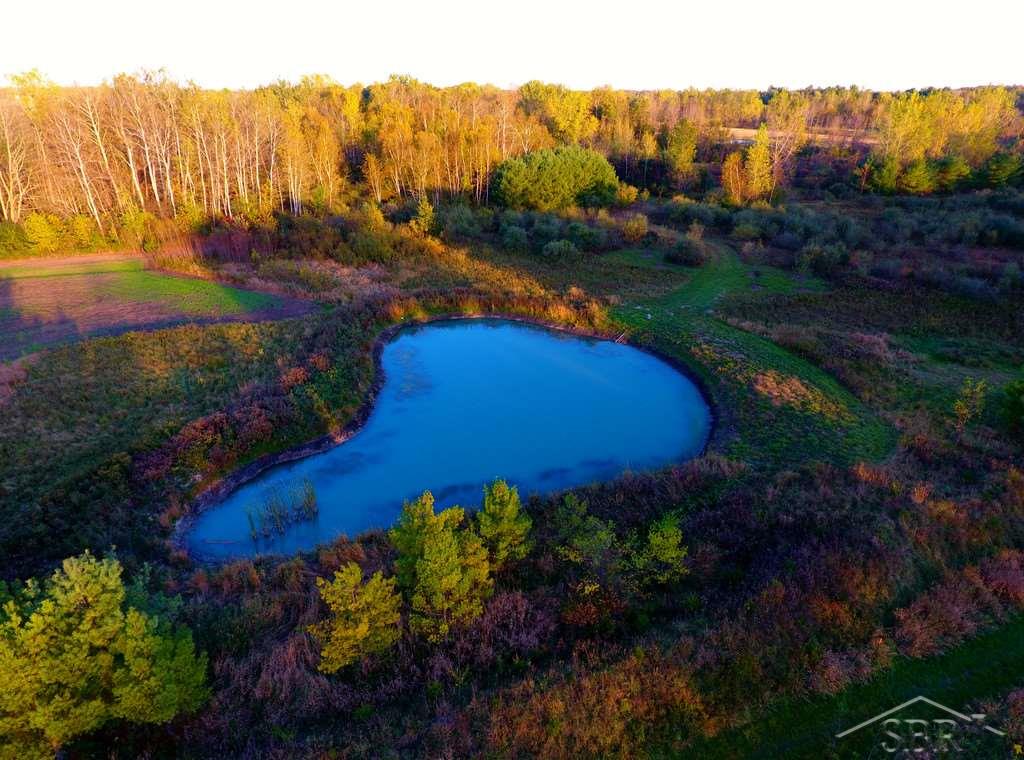 2787 East Mier Road Midland, MI 48642 - Photo 6 of 17