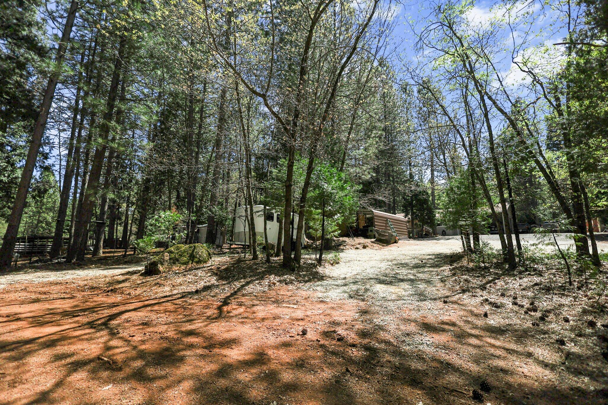 30726 Shingletown Ridge Road Shingletown, CA 96088 - Photo 40 of 84 18-web-or-mls-LZ0A1742