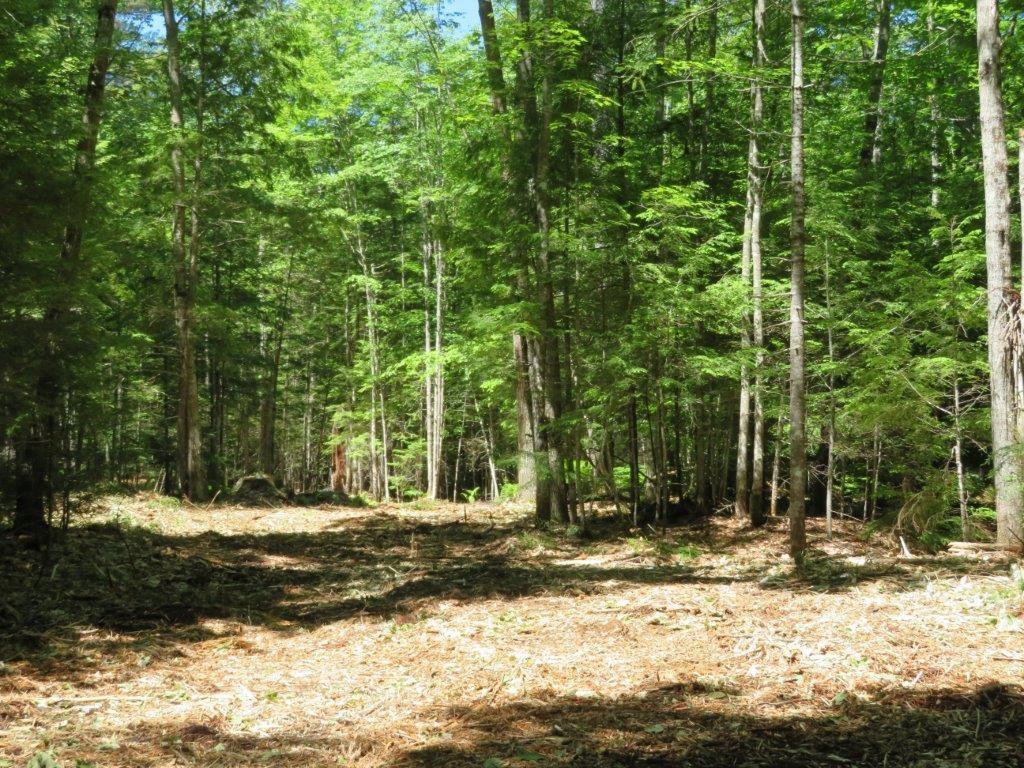 149 Passaconaway Road Waterford, ME 04088 - Photo 21 of 27 Photo