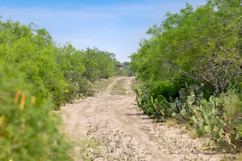 $4,048,881 | 0 Hwy 16 Zapata Tx 78076, Zapata, TX 78076