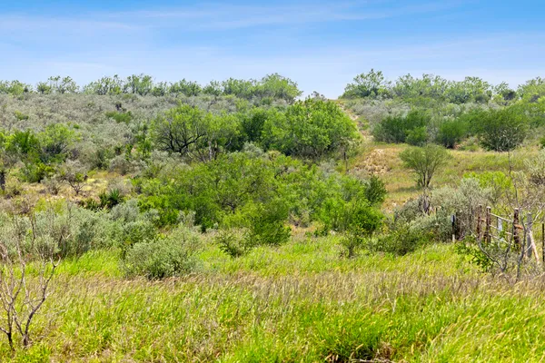 $4,048,881 | 0 Hwy 16 Zapata Tx 78076, Zapata, TX 78076