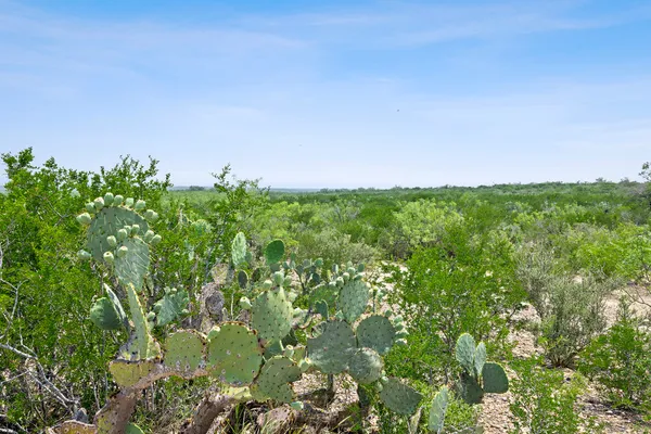 $4,048,881 | 0 Hwy 16 Zapata Tx 78076, Zapata, TX 78076