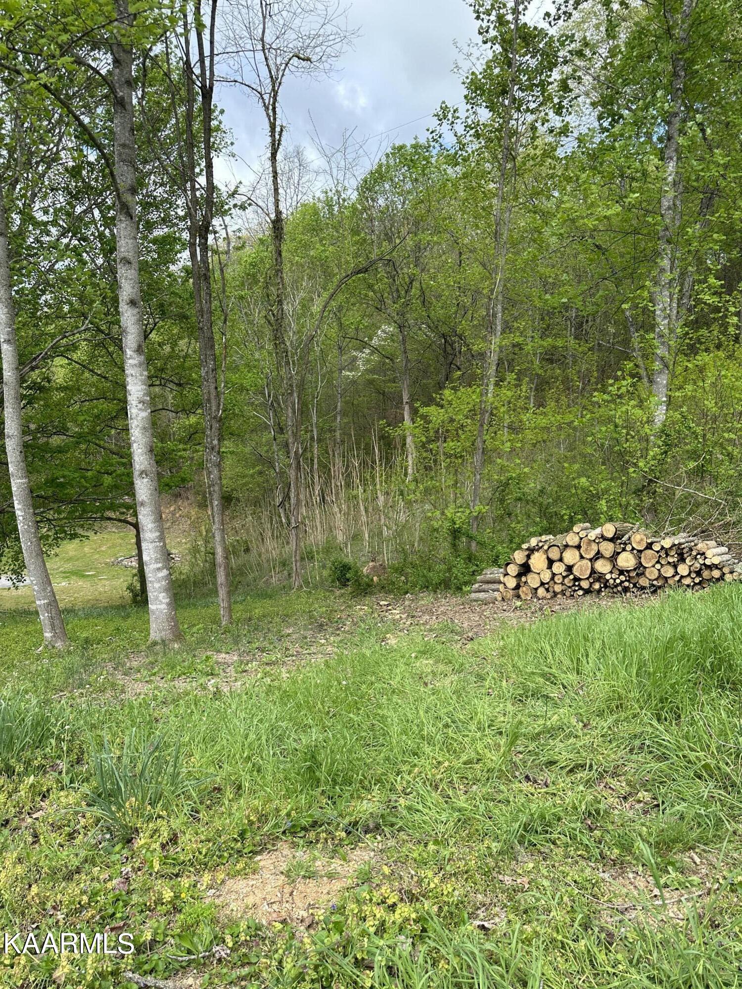 5-acres Flat Hollow Road Speedwell, TN 37870 - Photo 2 of 8 IMG_0864