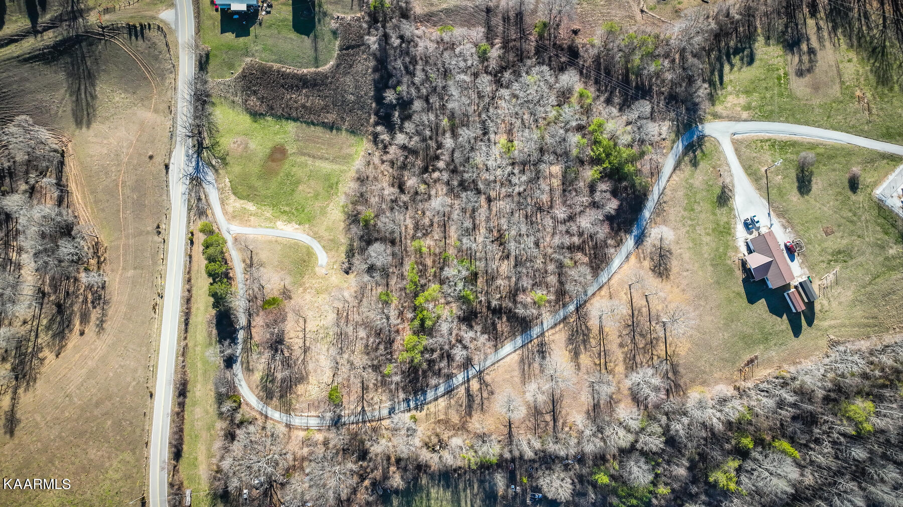 5-acres Flat Hollow Road Speedwell, TN 37870 - Photo 4 of 8 103