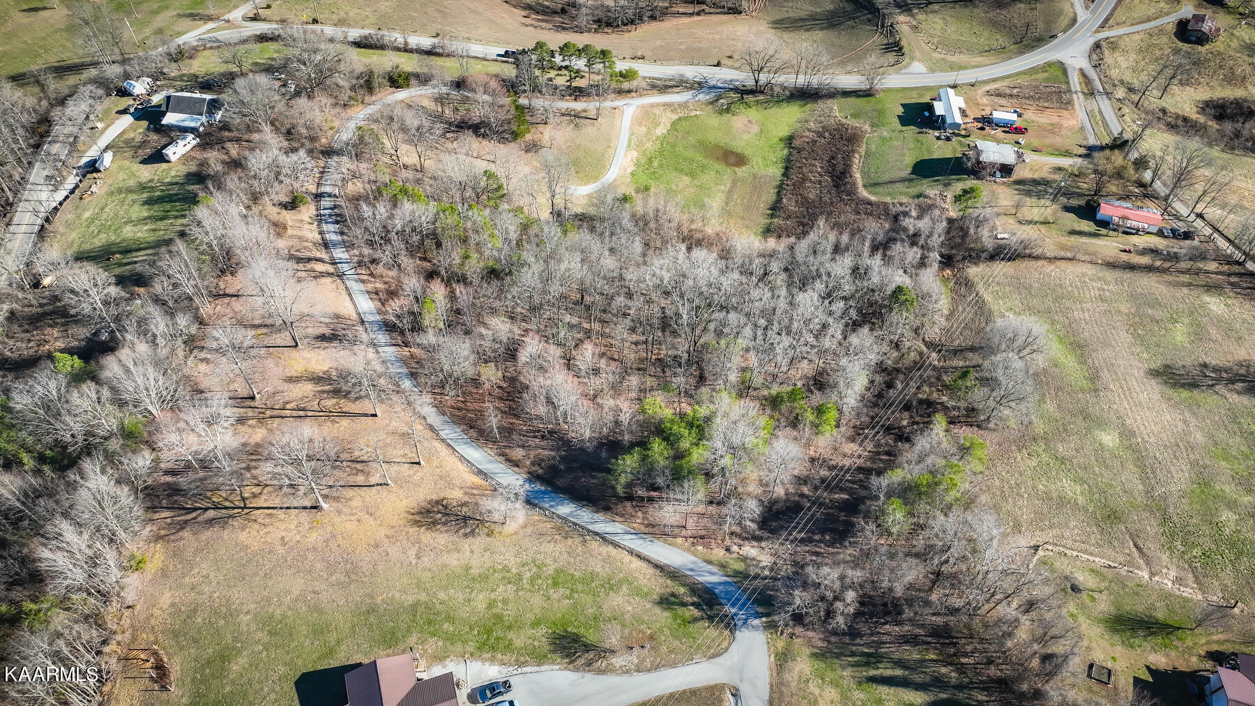 5-acres Flat Hollow Road Speedwell, TN 37870 - Photo 6 of 8 105