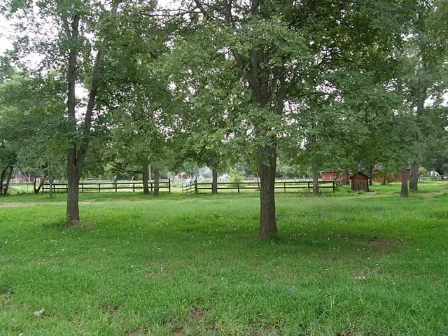 a view of grassy field with benches and trees all around