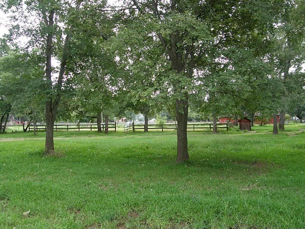 0 Cavalry Road Wallis, TX 77485 - Photo 2 of 5