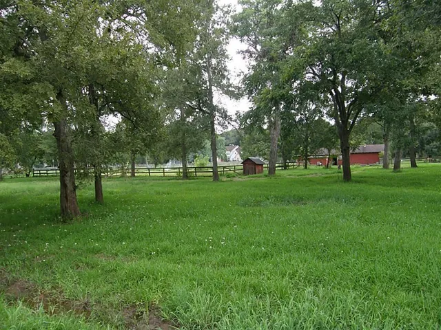 a huge green field with lots of trees