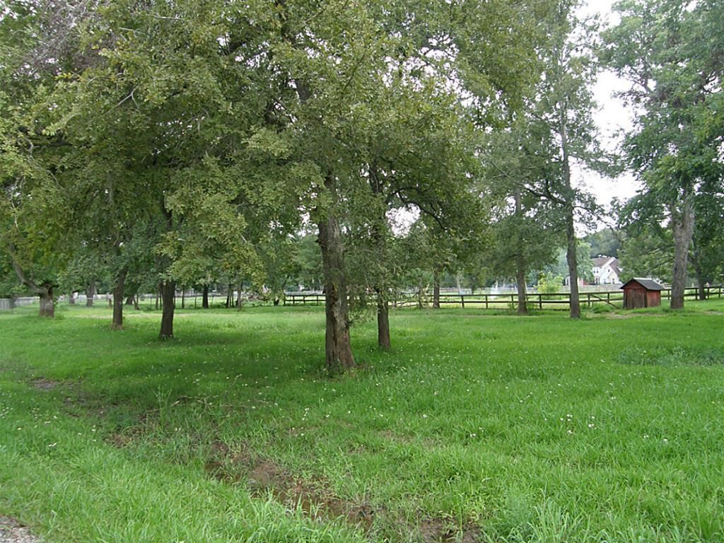 0 Cavalry Road Wallis, TX 77485 - Photo 4 of 5 a huge green field with lots of trees