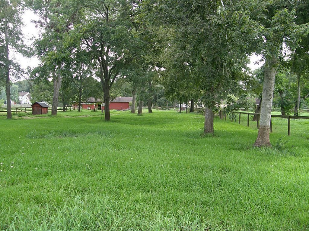 0 Cavalry Road Wallis, TX 77485 - Photo 5 of 5 a huge green field with lots of trees