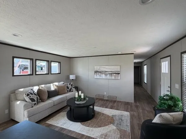 a living room with furniture and a potted plant