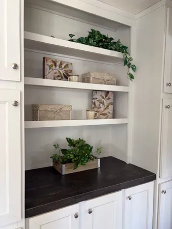 a close view of kitchen cabinets with potted plant