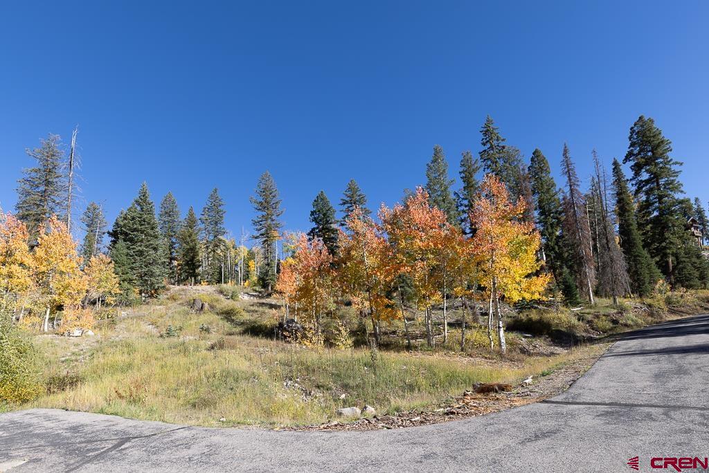 474 Engineer Drive Durango, CO 81301 - Photo 11 of 29 a view of a yard