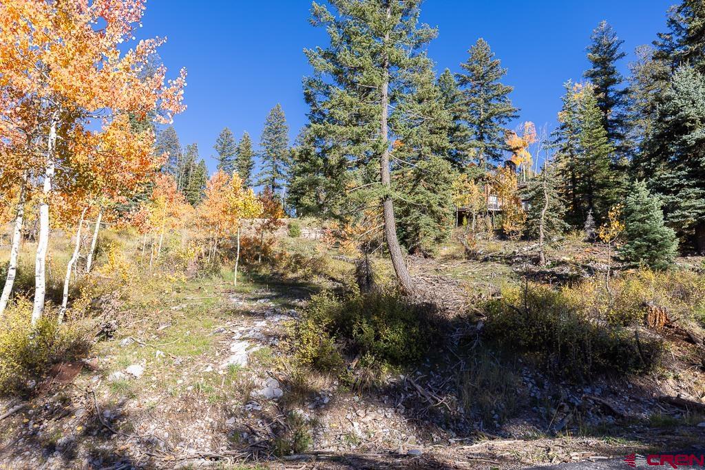 474 Engineer Drive Durango, CO 81301 - Photo 12 of 29 a view of a yard