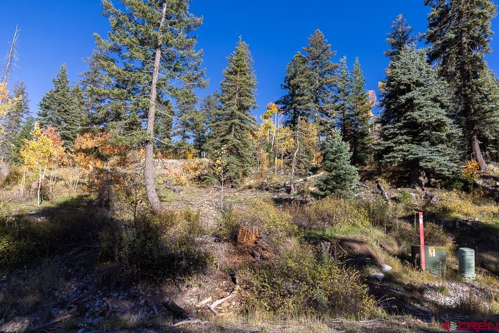 474 Engineer Drive Durango, CO 81301 - Photo 13 of 29 a view of a covered with trees