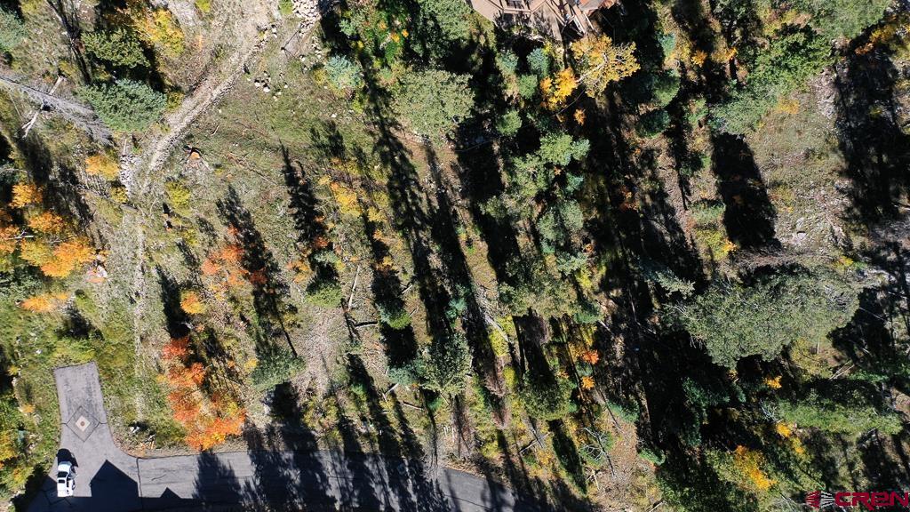 474 Engineer Drive Durango, CO 81301 - Photo 20 of 29 a view of a tree