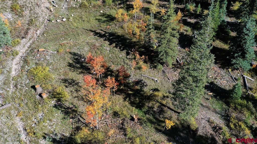 474 Engineer Drive Durango, CO 81301 - Photo 21 of 29 a view of a tree in a forest