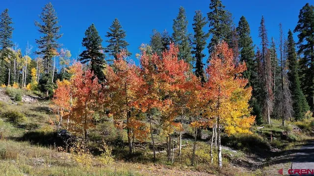 a view of outdoor space and trees