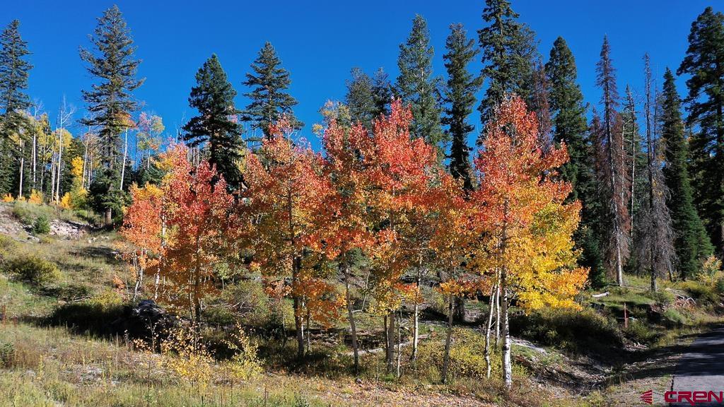 474 Engineer Drive Durango, CO 81301 - Photo 23 of 29 a view of outdoor space