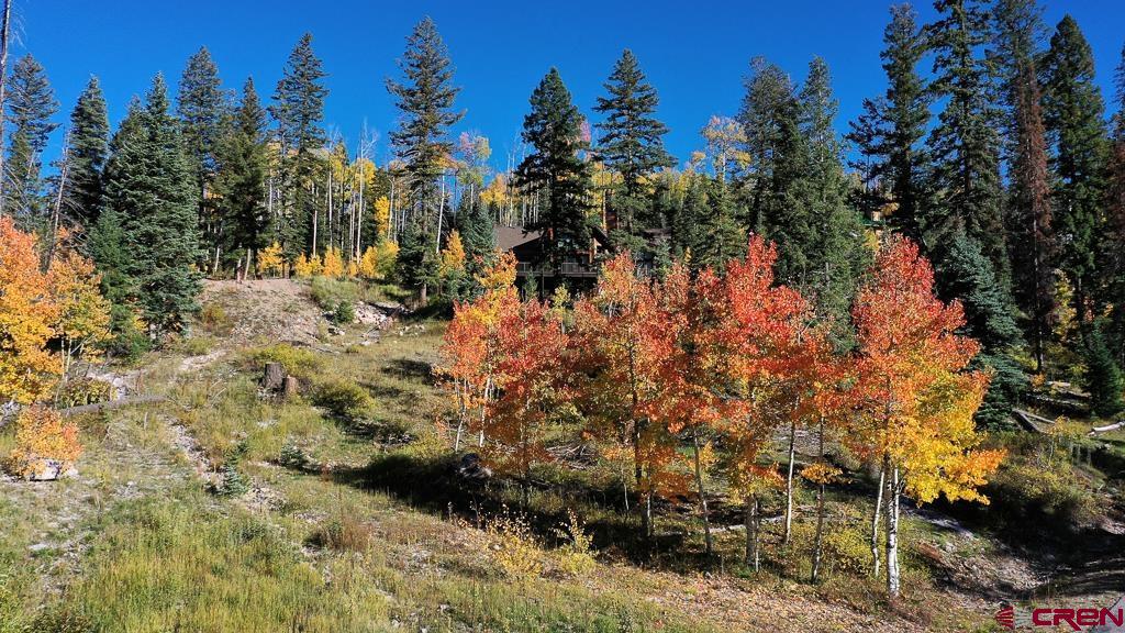 474 Engineer Drive Durango, CO 81301 - Photo 24 of 29 a view of outdoor space and trees