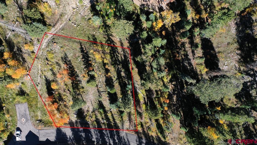 474 Engineer Drive Durango, CO 81301 - Photo 9 of 29 a view of tree