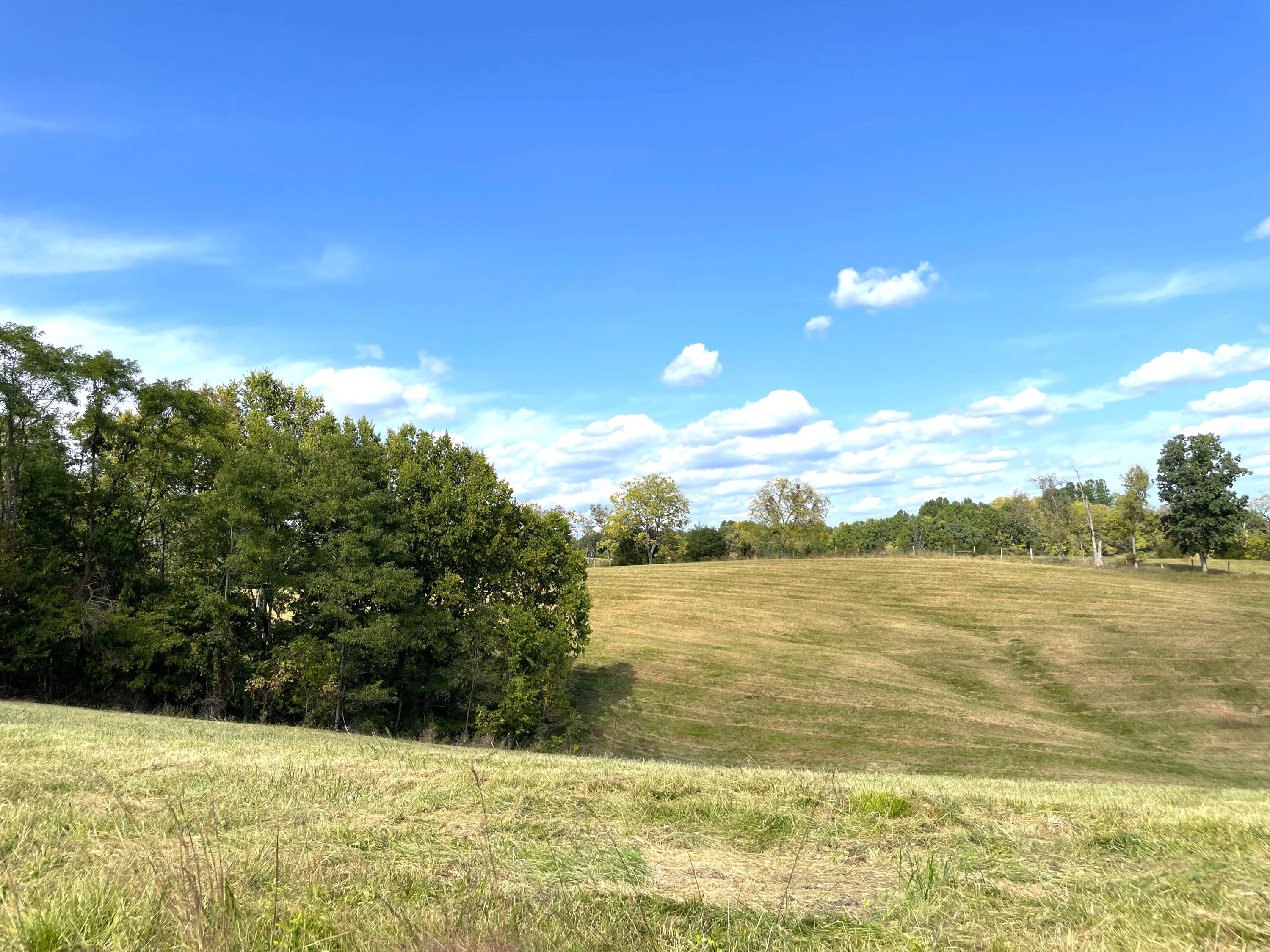5 Corinth Road Corinth, KY 41010 - Photo 17 of 22 Gallery Image 17