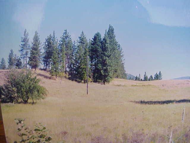 1 Cedar Loop Road Colville, WA 99114 - Photo 1 of 2