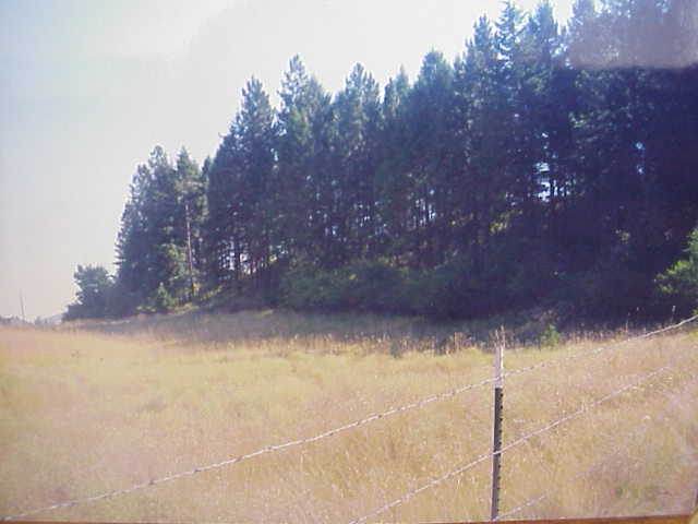 1 Cedar Loop Road Colville, WA 99114 - Photo 2 of 2