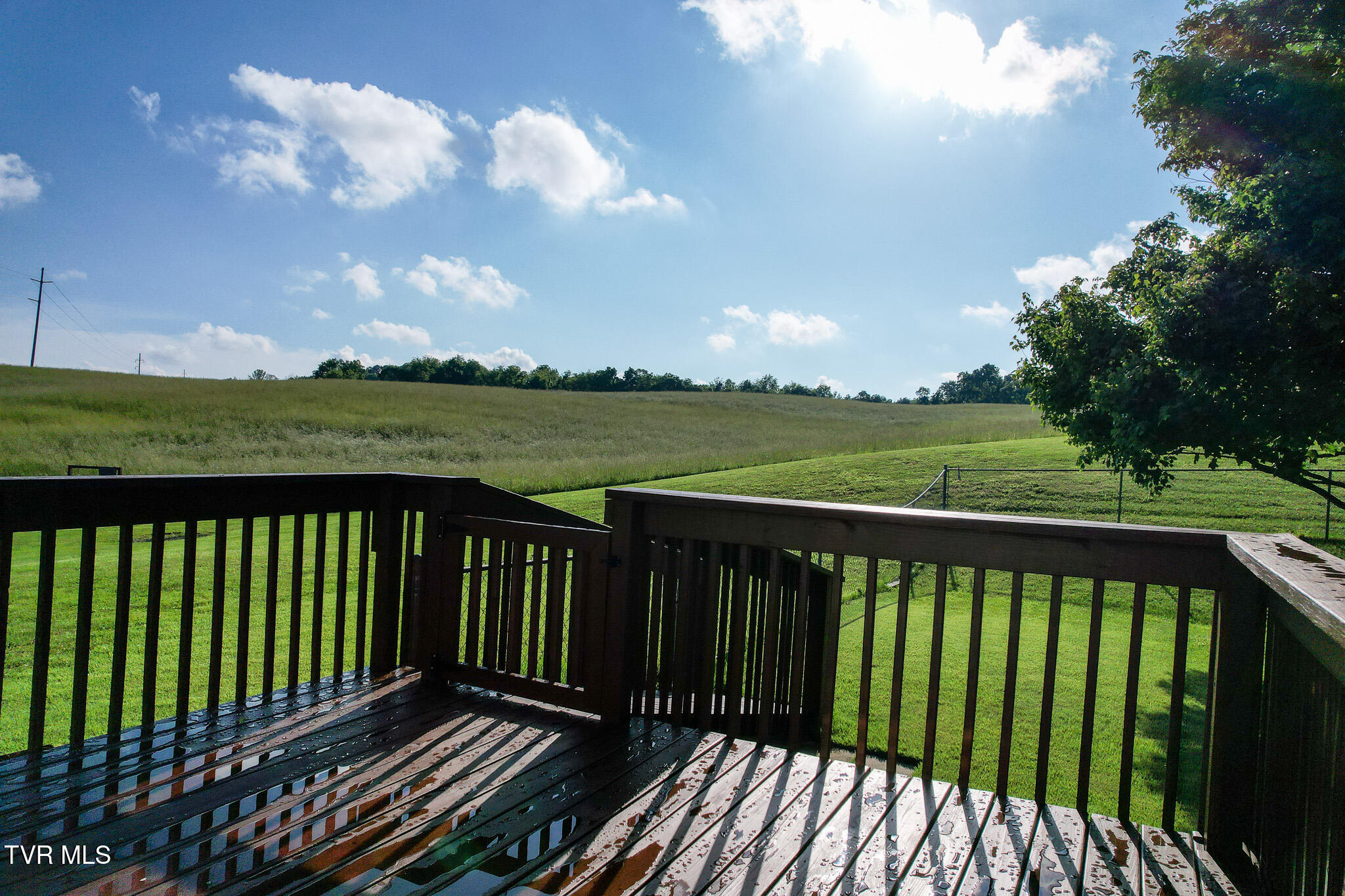 2361 Old Stage Road Greeneville, TN 37745 - Photo 57 of 88 47