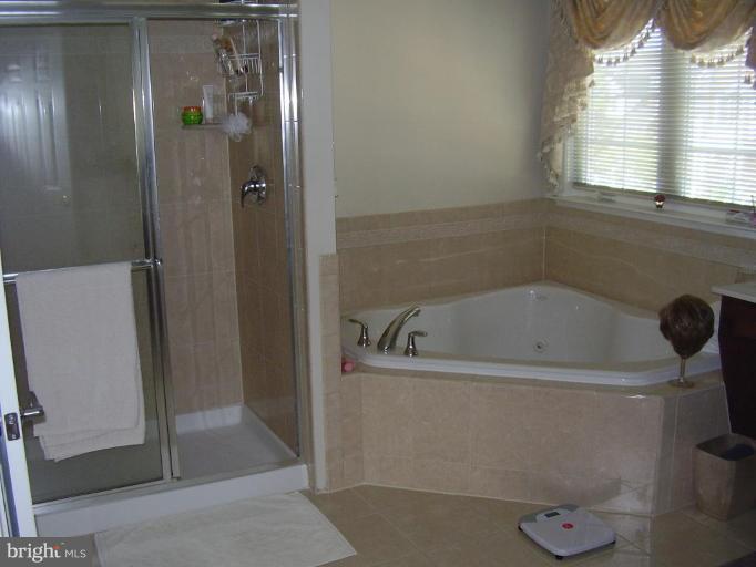 4001 Sapling Way Triangle, VA 22172 - Photo 8 of 25 Master Bath