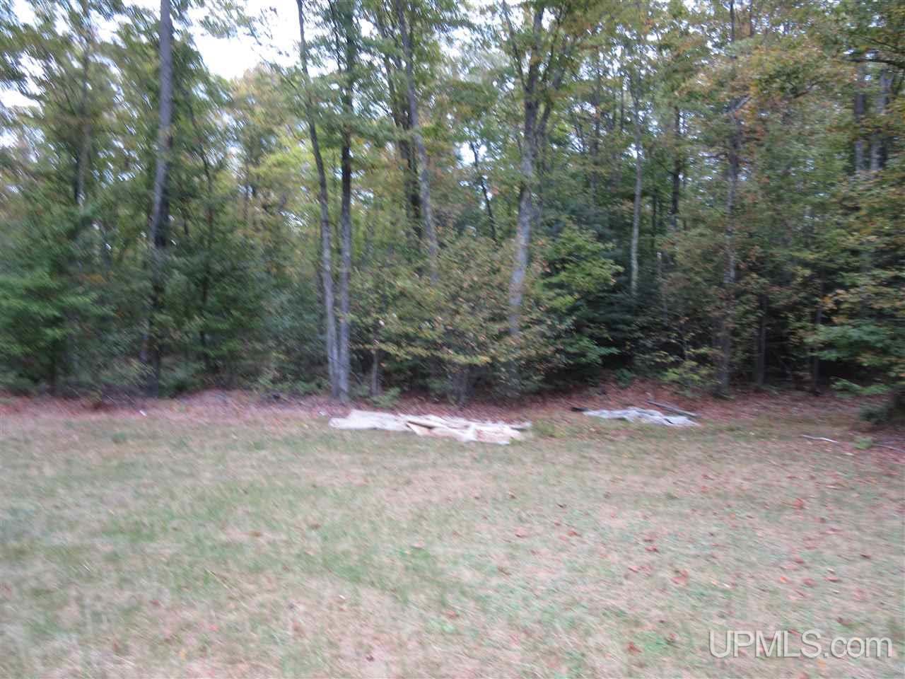 6736 North Co Road Manistique, MI 49854 - Photo 5 of 27