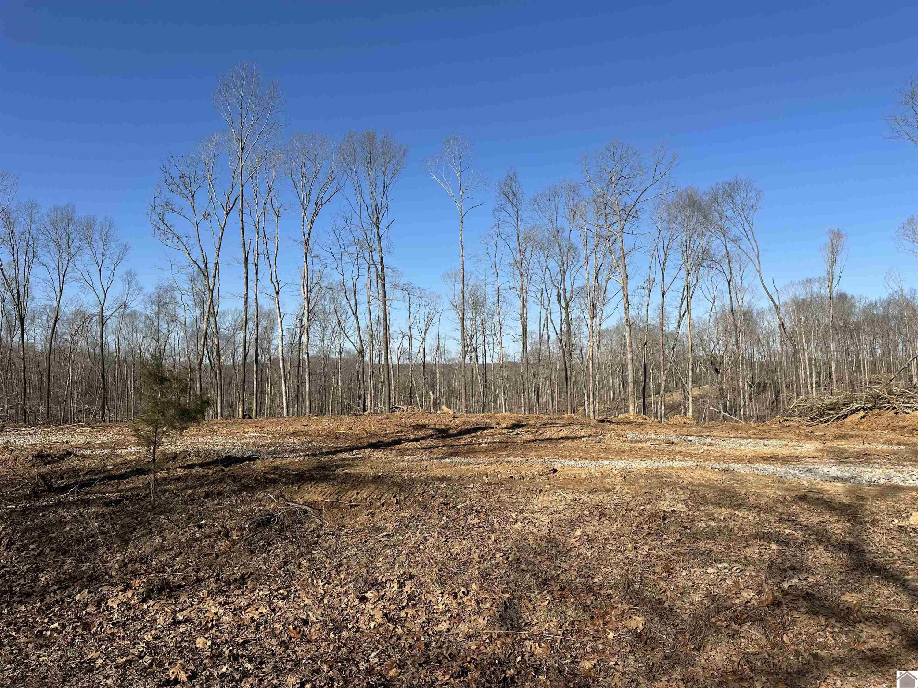 0 Beal Road, Unit 3 Hardin, KY 42048 - Photo 3 of 3 Photo 3