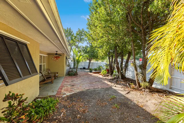 a view of a backyard with a large tree