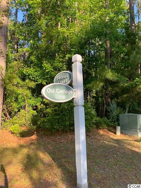 92 Old Carriage Loop Georgetown, SC 29440 - Photo 7 of 20 Gallery Image 7